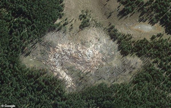 Йеллоустонский вулкан расширяется и уничтожает деревья в парке